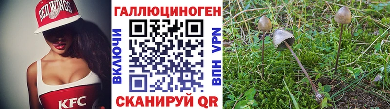 ссылка на мегу зеркало  Талдом  Псилоцибиновые грибы Cubensis 